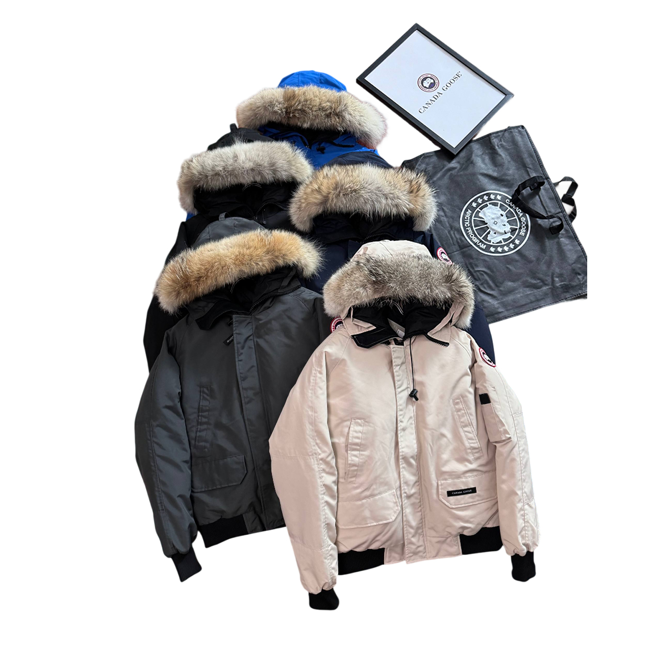 [Canada Goose] 캐나다구스 칠리왁
