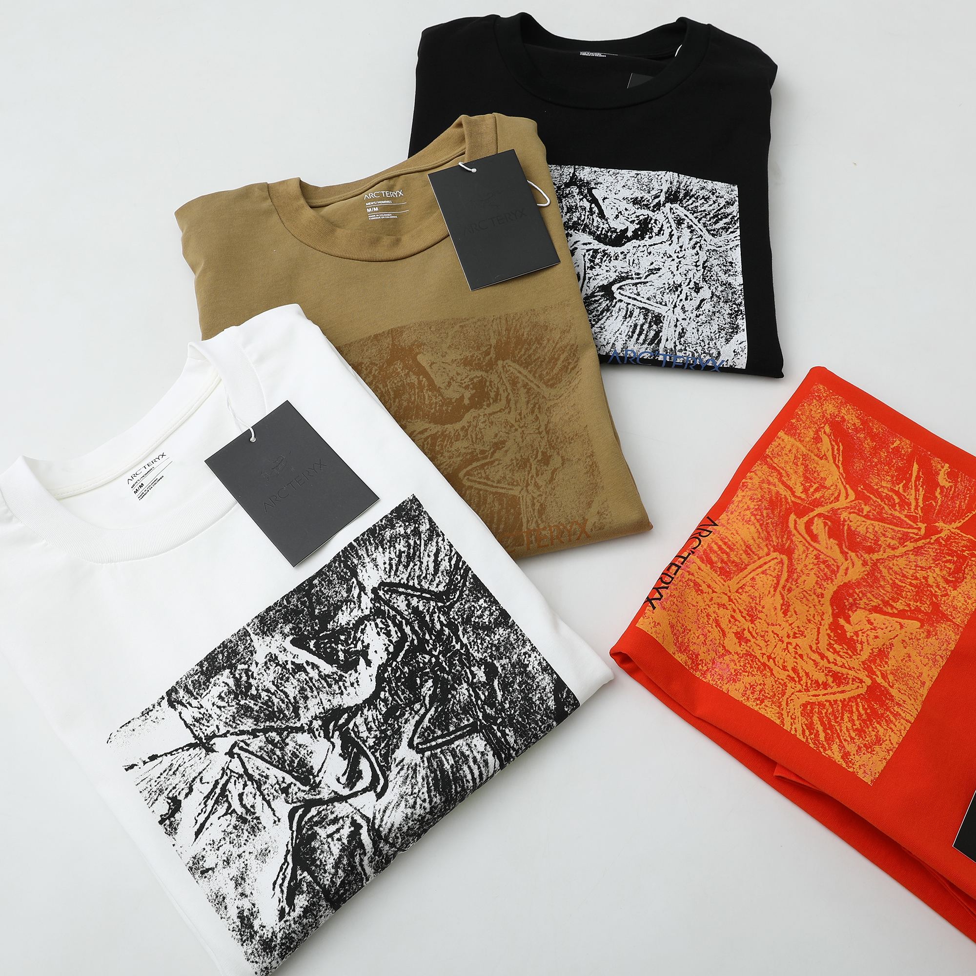 [Arcteryx] 아크테릭스 크래그 코튼 아르카이옵테릭스 티셔츠